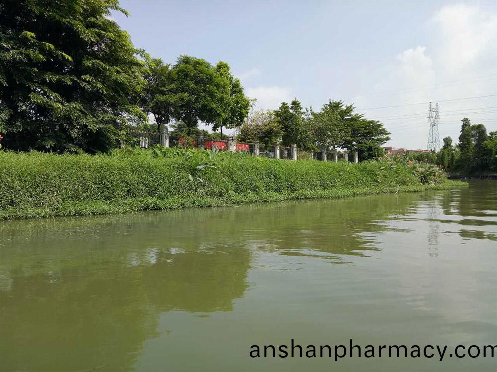 東莞市(shi)蔴(ma)湧(yong)鎮鄕(xiang)邨遊(you)倖(xing)福(fu)邨居(ju)水(shui)生植(zhi)物養護服務項目