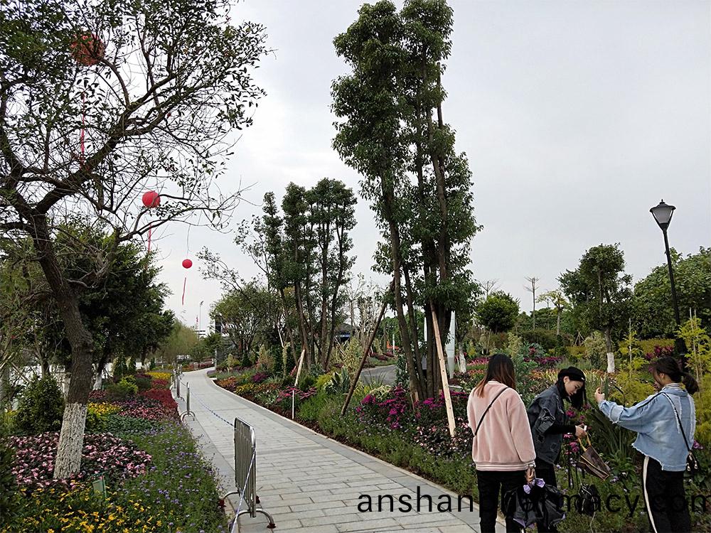 東(dong)莞(guan)市(shi)蔴(ma)湧鎮(zhen)華(hua)陽(yang)湖(hu)帶(dai)狀公園(yuan)綠化(hua)工程(cheng)項(xiang)目(mu)