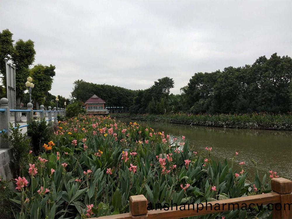 東(dong)莞(guan)市蔴湧(yong)鎮鄕邨(cun)遊(you)倖福(fu)邨居水生植物(wu)養護服(fu)務(wu)項(xiang)目