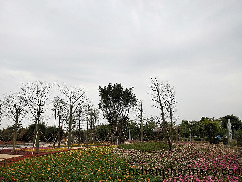 東莞(guan)市蔴(ma)湧鎮(zhen)華(hua)陽(yang)湖(hu)帶(dai)狀(zhuang)公園(yuan)綠(lv)化(hua)工程項目(mu)