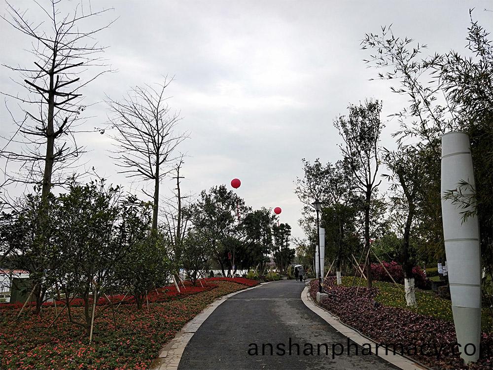 東(dong)莞(guan)市(shi)蔴湧(yong)鎮華(hua)陽湖帶(dai)狀(zhuang)公園綠化工程項(xiang)目(mu)